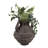 Rustic Textured Paper Mache Clay Vase With Handles For Home Decor - Modern Tall Flower Vase For Entryway Table Accent, Living Room Decor, Or Office Spaces - 15", Charcoal Gray-1689308250