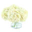 Hortensias disposés dans un vase en verre-795933297