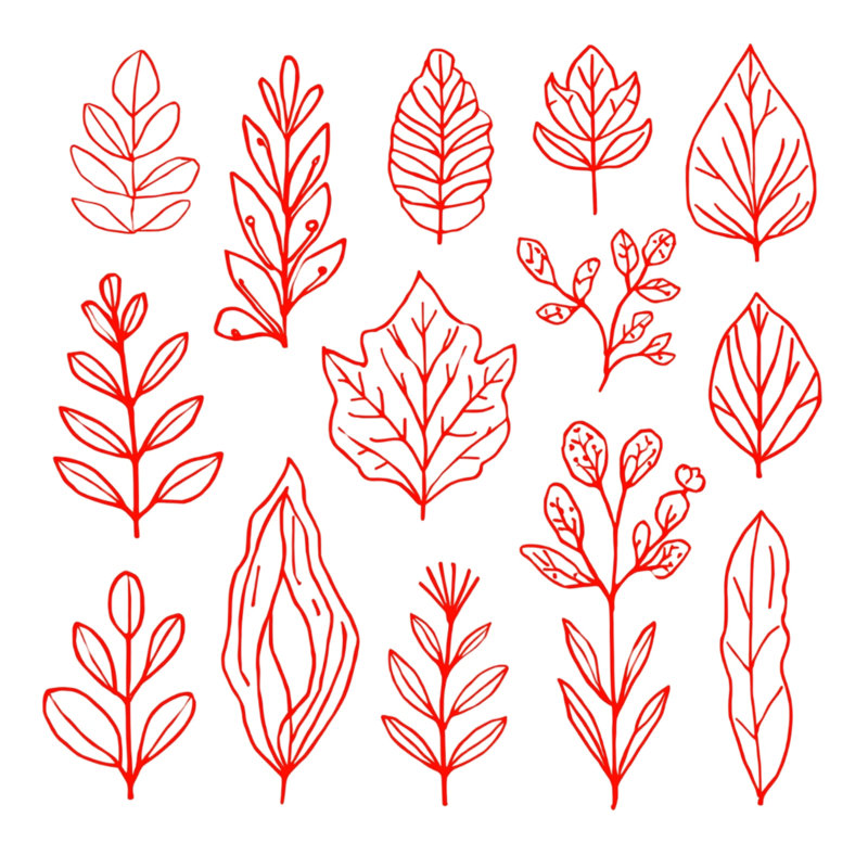 Coussins décoratifs Red Leaf Illustration, 20 po x 20 po