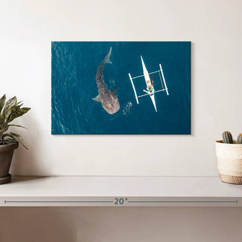 Requin-baleine Brampt Oslob, H 8 po x l 12 po