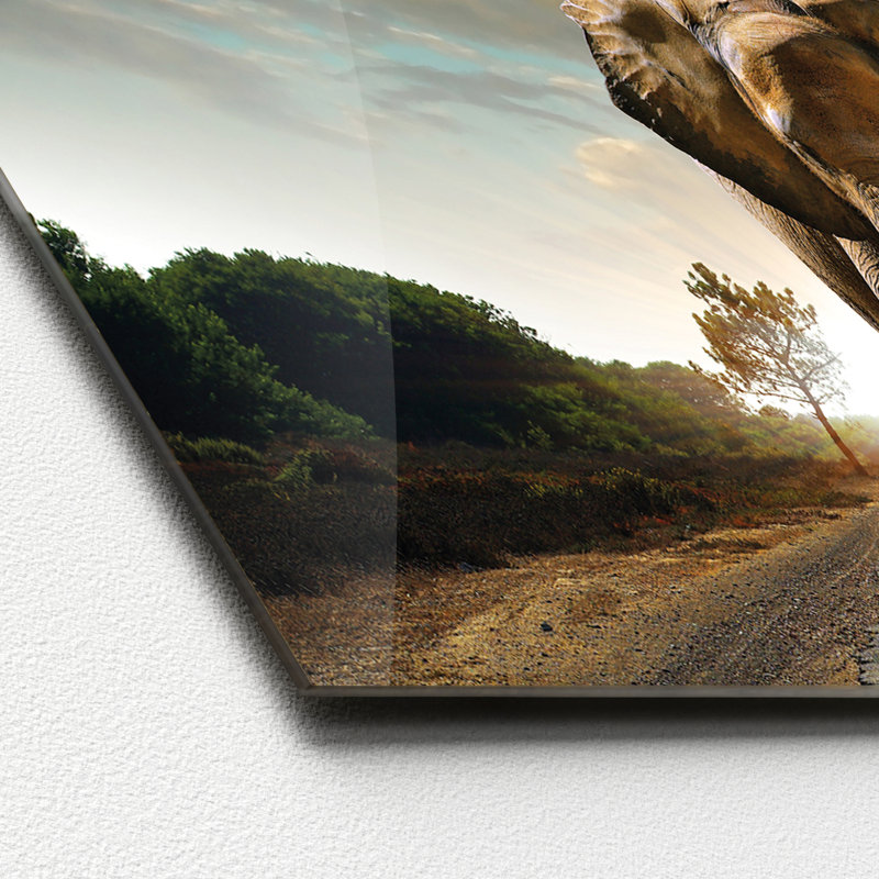 No Frame Print on Glass, 50 cm H x 125 cm W x 1.4cm D