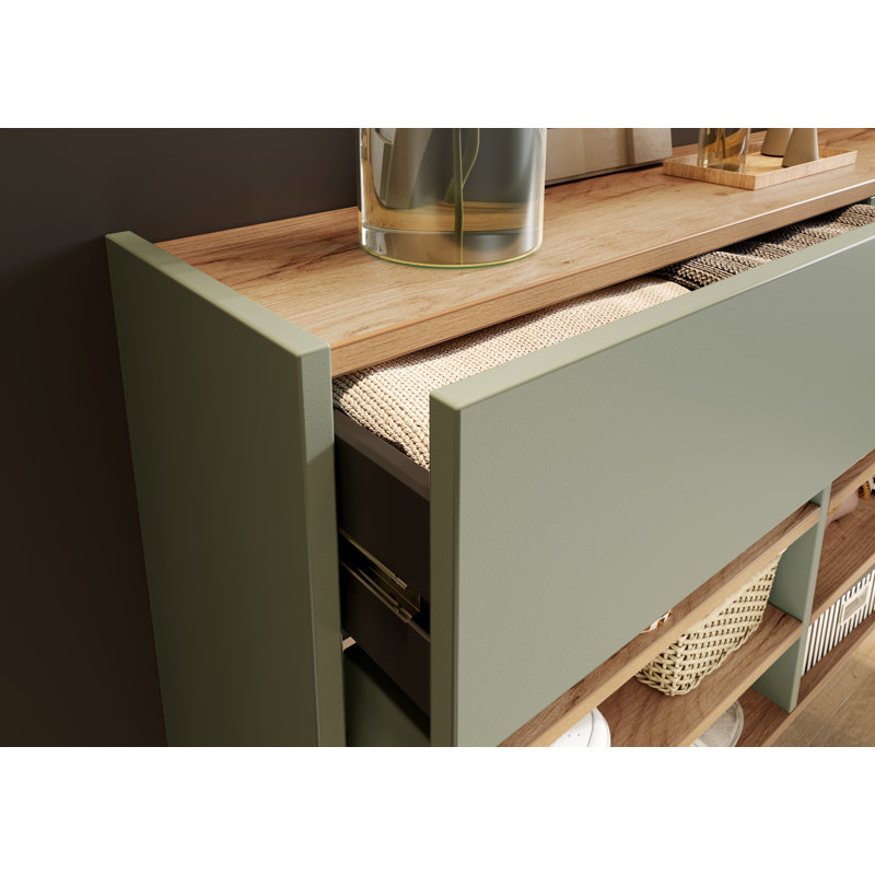 Nyack 12 Pair Shoe Storage Cabinet, Taupe green