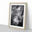 Bright Eyed Leopard in Abstract - Picture Frame Painting Print-55679131-55679132