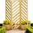 Freestanding Divider/Separator