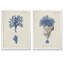 « corail antique en bleu marine iii » par vincent van gogh, ensemble de 2 reproductions d’art sur cadre photo-560279798-560279799-560295756