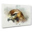 Hawk In Abstract - Wrapped Canvas-55308441