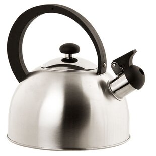 https://assets.wfcdn.com/im/81399697/resize-h310-w310%5Ecompr-r85/1253/125332765/home-basics-265-quarts-stainless-steel-whistling-stovetop-tea-kettle.jpg