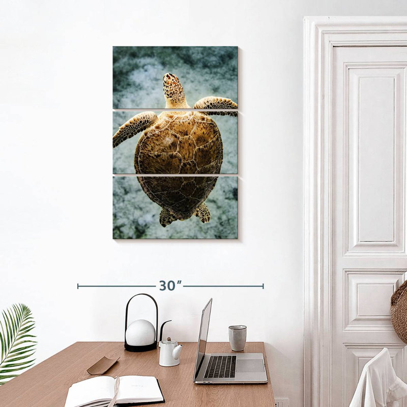 Brampt Virgin Islands Turtle, 32" H x 20" W