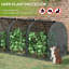 47.25' W x 47.25' D Mini Greenhouse-86475153-114479459