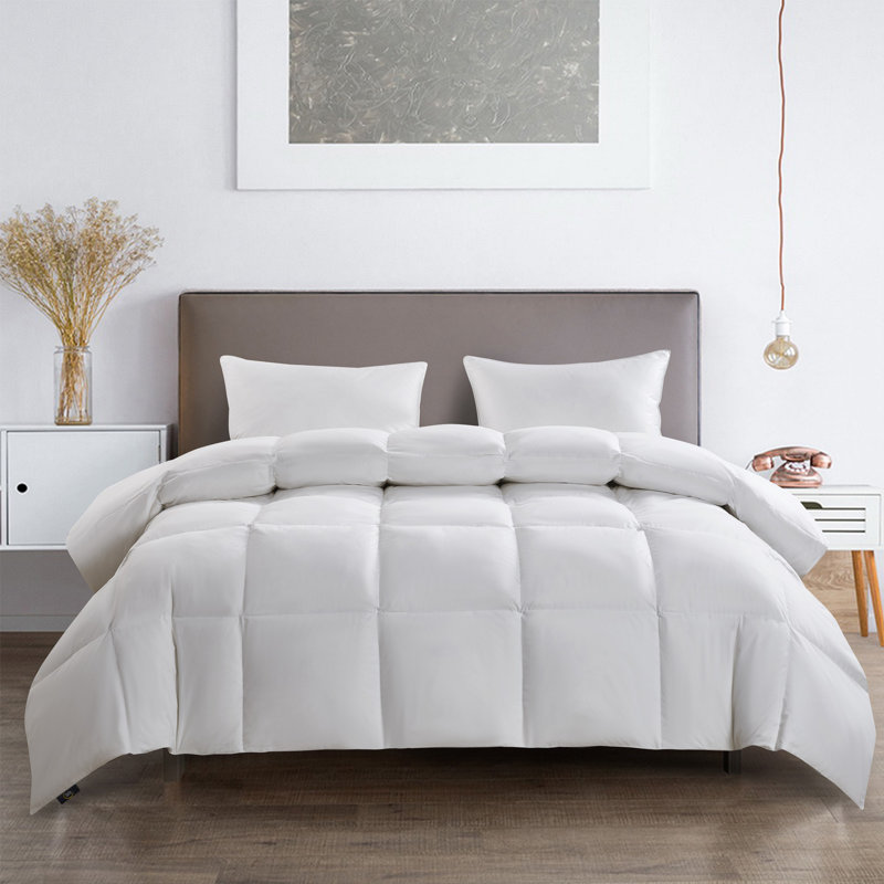 Serta Super Soft 233 Thread Count White Goose Feather And Down Fiber Comforter By Serta Light Warmth Twin, Twin