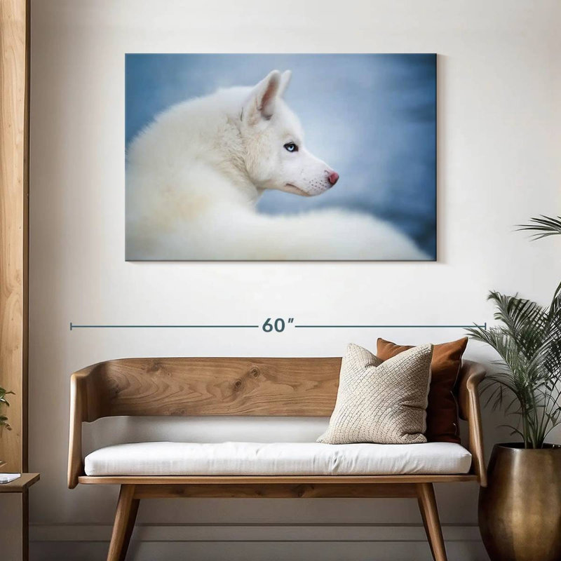 Brampt Pure White Husky, 30'' H x 45'' W