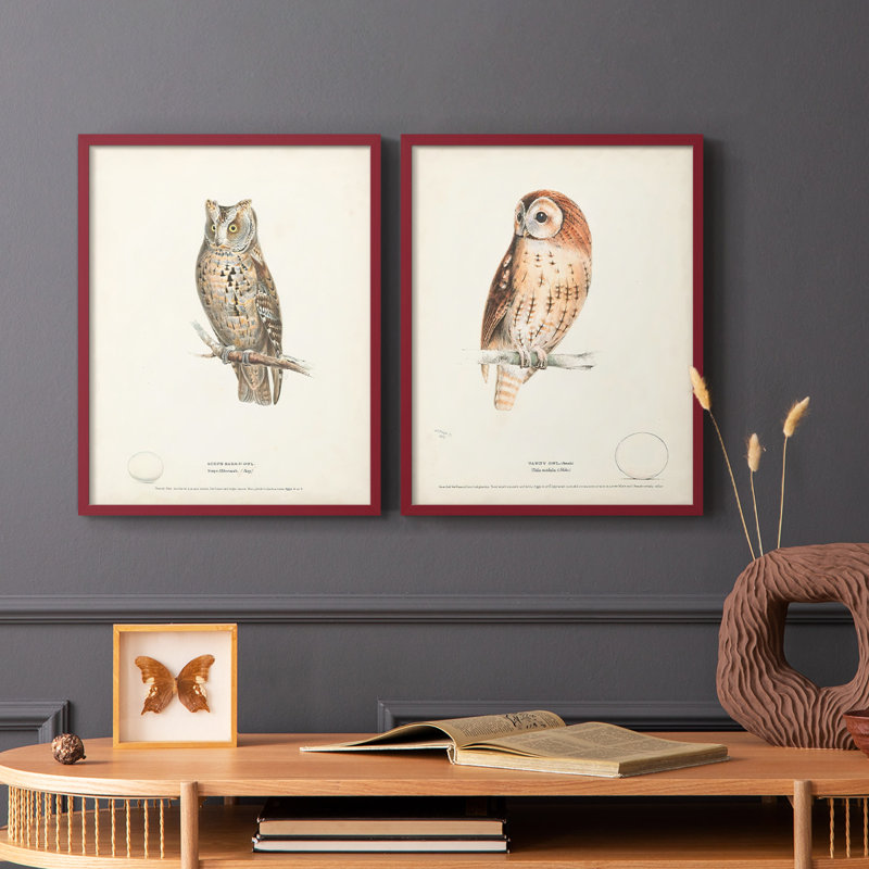 Scops Eared Owl - reproduction encadrée de qualité supérieure - prête à être accrochée - aucun clou requis - aucun clou requis