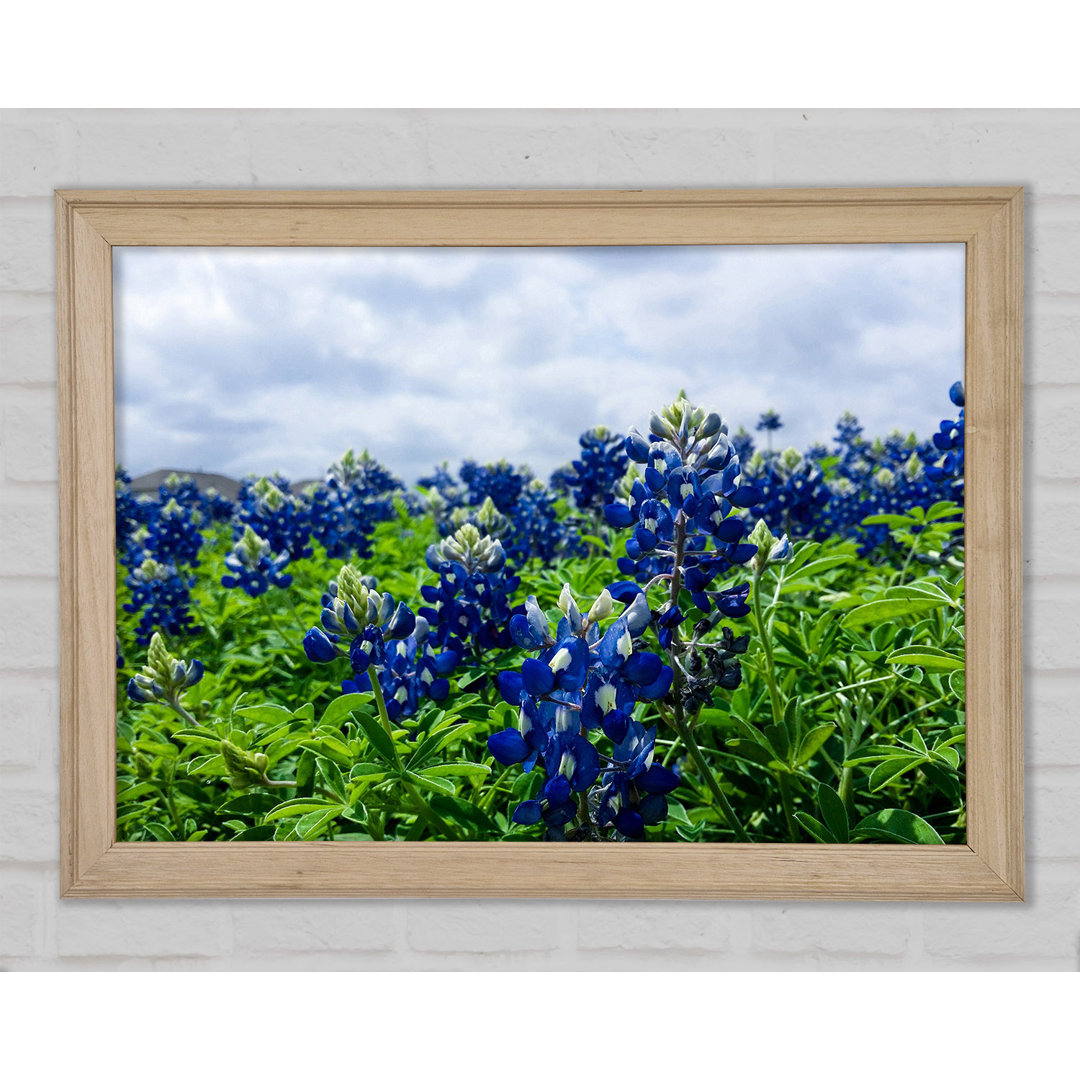 Blaue Blumen auf grünen Stängeln - Druck