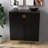 Pratham Accent Cabinet