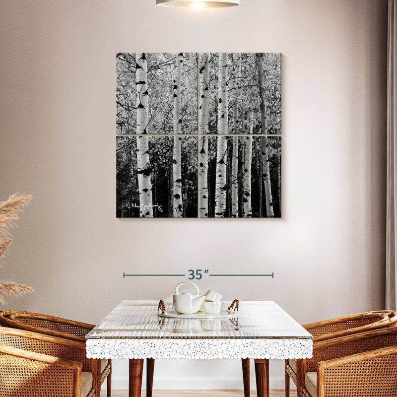 Alvord Aspens en automne BW, H 38 po x l 38 po
