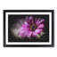 Purple Daisy - Picture Frame Graphic Art-56876066-56876065