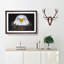 Bald Eagle Bird - Picture Frame Painting Print-56628495-56628496