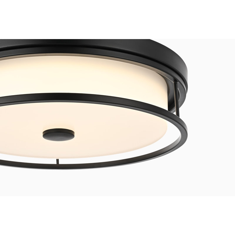 Ashok 16 inch LED Flush Mount , Black
