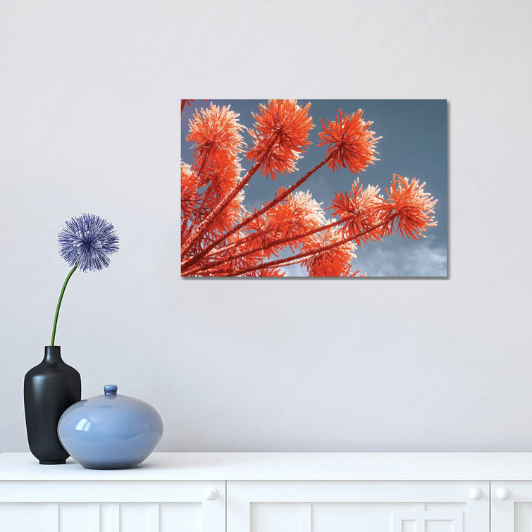 Red Trees by Glauco Meneghelli - Wrapped Canvas Print