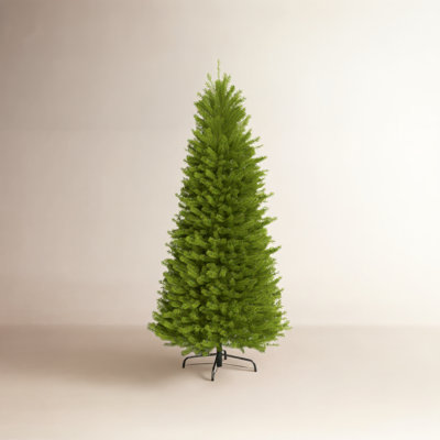 Kadyn Fraser Fir Pre-Lit Christmas Tree