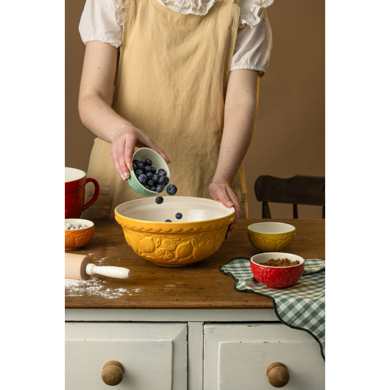 Mason Cash Fruits Lemons Mixing Bowl 24cm