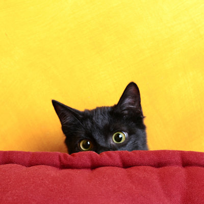 Hide and Seek par Peeterv