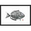 Andrew Clay - Single Picture Frame Print-20604297