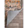 Oriental Indoor Rug