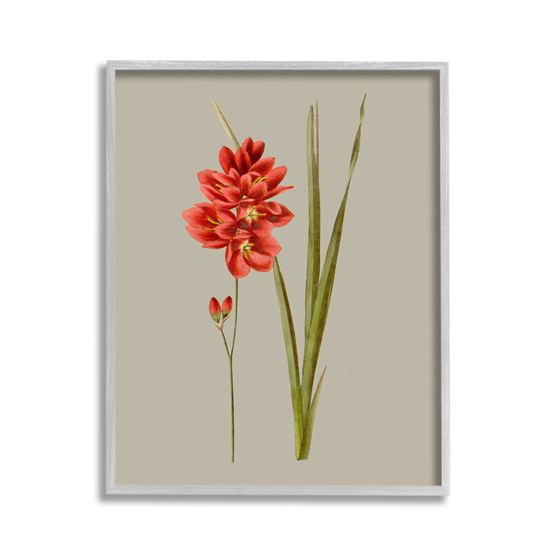 Art giclée botanique traditionnel par Vision Studio, Estampe numérique Farmhouse, H 14 po x l 11 po