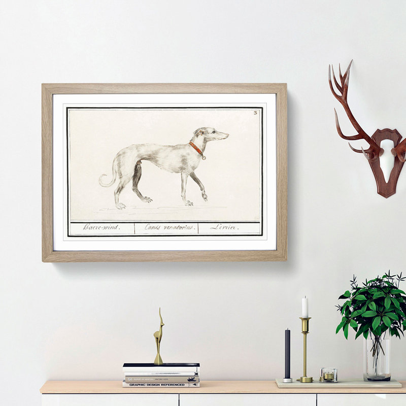 Greyhound by A.B. De Boodt - Picture Frame Painting Print, 48cm H x 65cm W x 2cm D, Oak Framed
