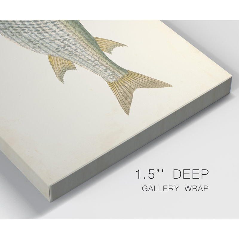 " Donovan Antique Fish IV ", 36" H  x 24" W x 1" D