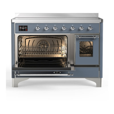 Majestic III Series 48 Inch Induction Range with 6 Induction Elements in Matte Graphite (Brass Trim)