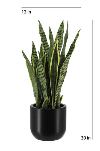 30" Artificial Snake Plants in Black Pots