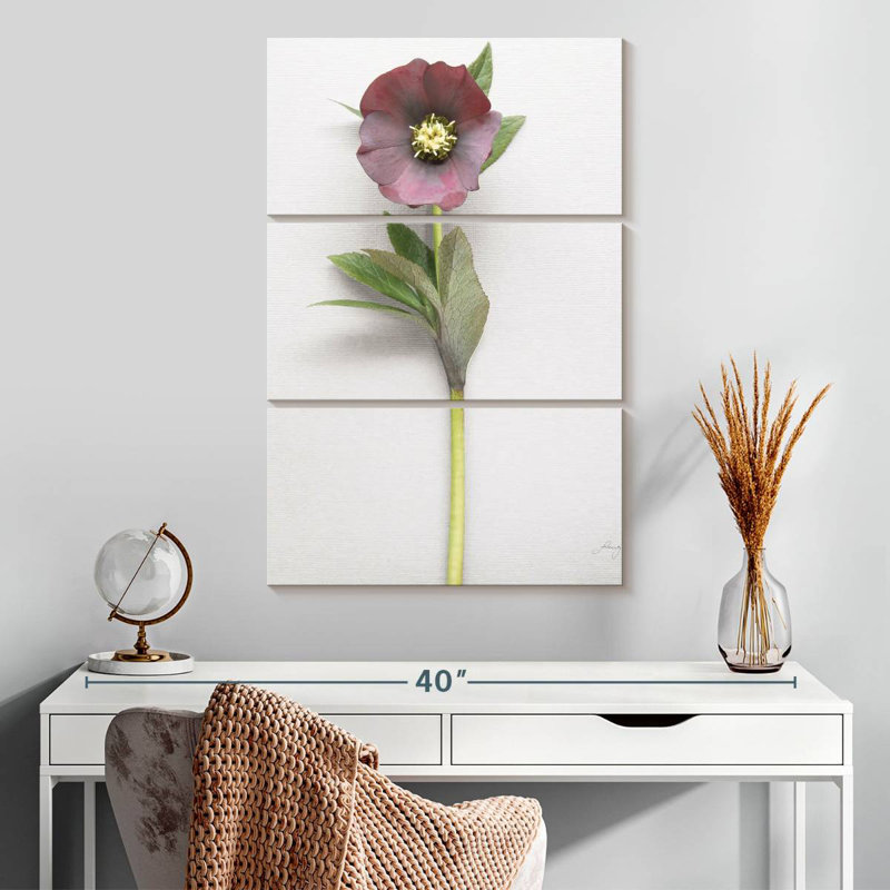 Harnek Hellebore Study II, H 32 po x l 20 po