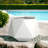 Maplewood Pot Planter-643301472-643301836