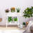 Lalana Plant Stand