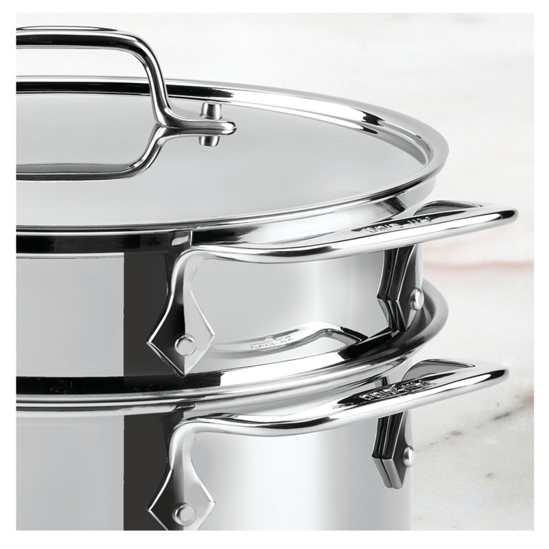 All-Clad Specialty 8 qt. Stainless Steel Steamer Pot with Lid