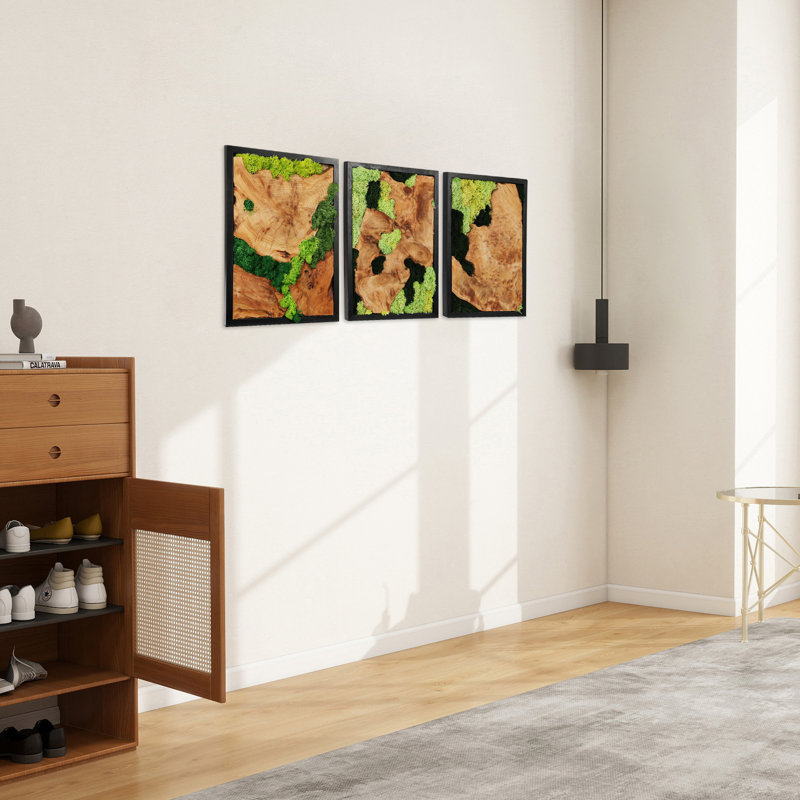 3 pièces d'art mural en mousse naturelle préservée avec bois naturel, présentant des motifs de grain uniques, un décor rectangulaire rustique fabriqué à la main, 12 x 16 po, idéal pour le salon, la chambre à coucher ou le bureau