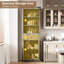 Armoire de rangement de 67 po de hauteur, armoire de rangement avec tablettes