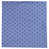 Blue/White