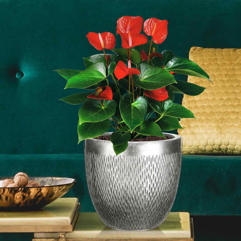 Concrete Effect Indoor Plant Pot, Indoor Planter with Metallic Looks, Small Flower Pot with Mesh Pattern D26.5 H24.5 cm, with Inner Top D22.5 cm, 13 litres
