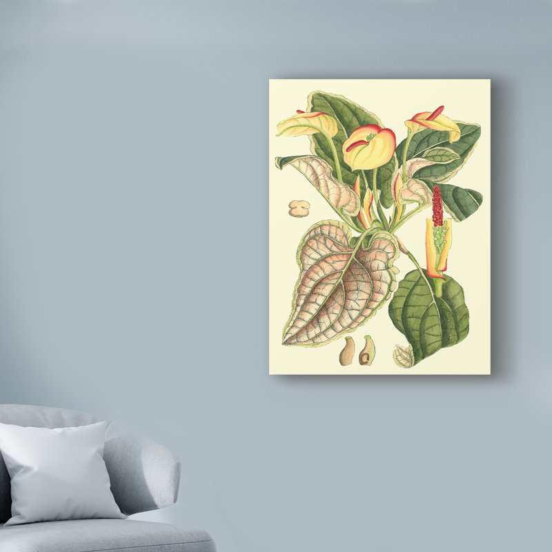 « botanique imaginaire iii », reproduction d’impression sur toile tendue, H 19 po x l 14 po x P 2 po