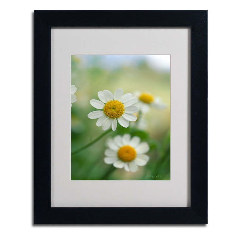 Chamomile Black Framed Canvas Print with Acrylic Facing