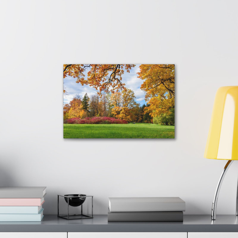 Automne, parc, arbre, orange, nature sauvage, photographie, art mural, H 24 po x l 30 po