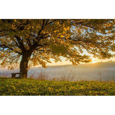 Autumn Tree - Wrapped Canvas Print
