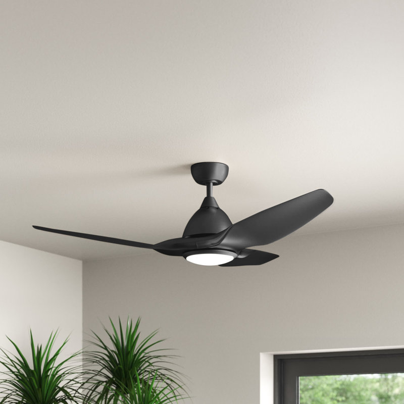 Albie 52'' Ceiling Fan with LED Lights, Black