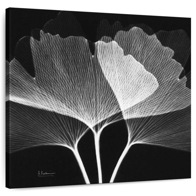 Harnek Ginkgo BW