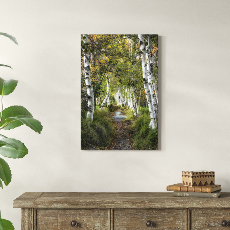 Birch Path I, H 30 po x l 20 po x P 1,25 po