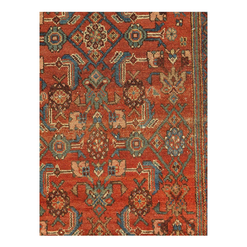 Mehroo Oriental Area Rug in Rust