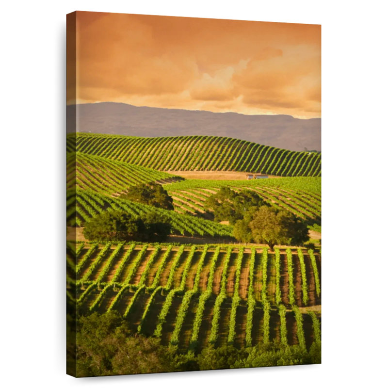 Alvord Carneros Vineyard, H 30 po x l 20 po